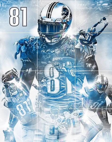 Detroit Lions